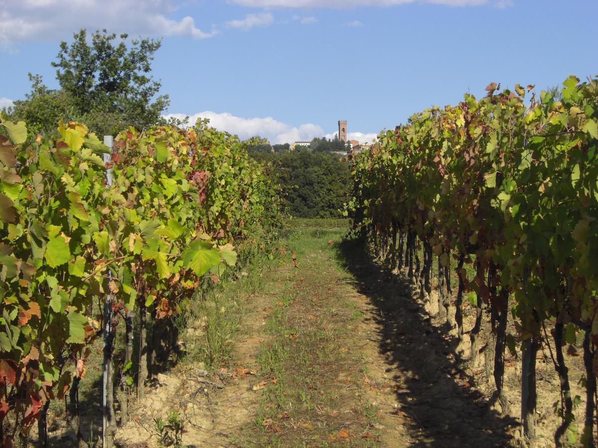 Buonamico Wine Resort มอนติคาร์โล ภายนอก รูปภาพ